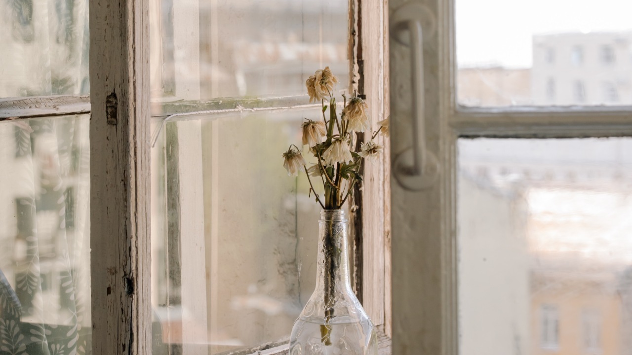 significado encontrar flores secas fuera de casa