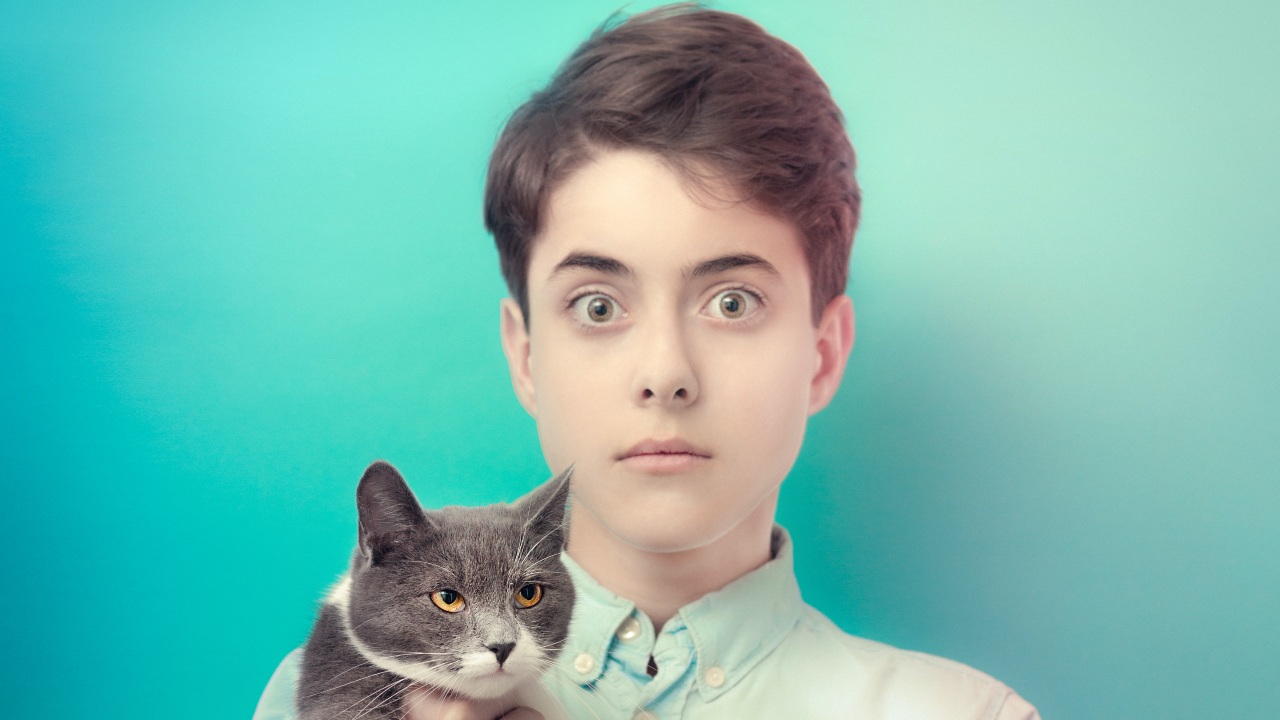 que tener en cuenta antes de adoptar animal