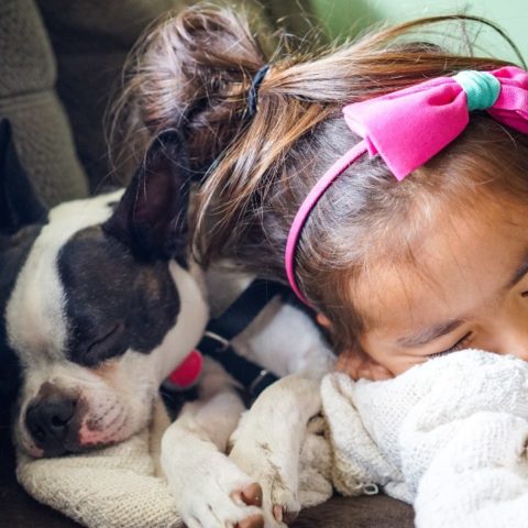 que deben saber tus hijos sobre cuidado de animales