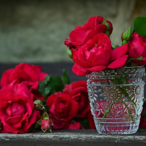 que echarle al agua de las flores para que no huela mal