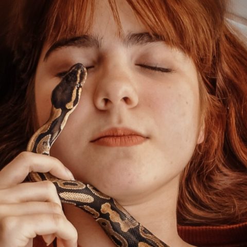 que significa soñar con serpientes