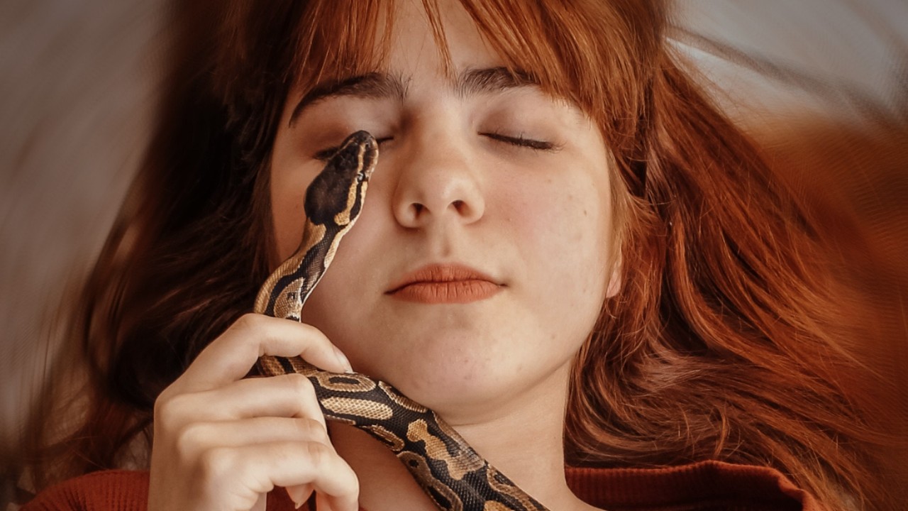 que significa soñar con serpientes