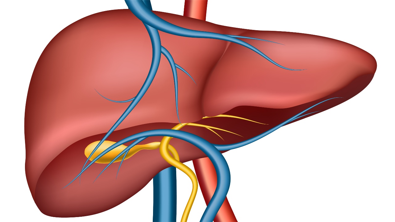 remedios caseros contra el hígado graso como preparar 