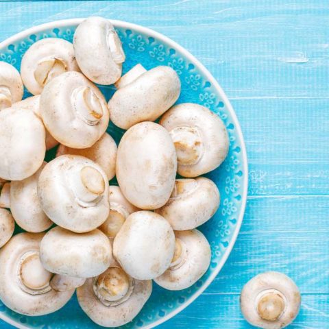 como cultivar champiñones en casa