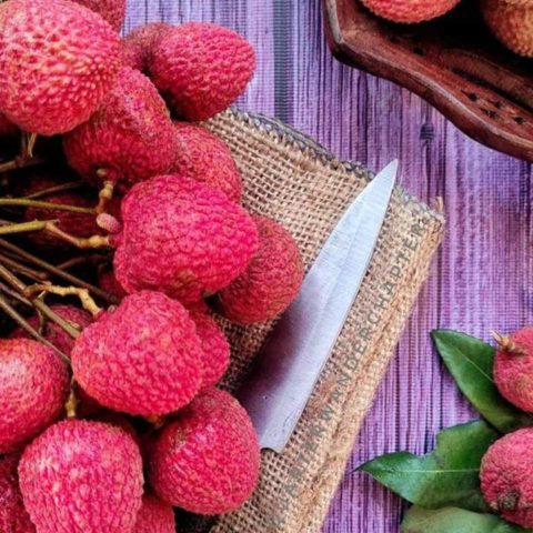 como cultivar lichi en maceta