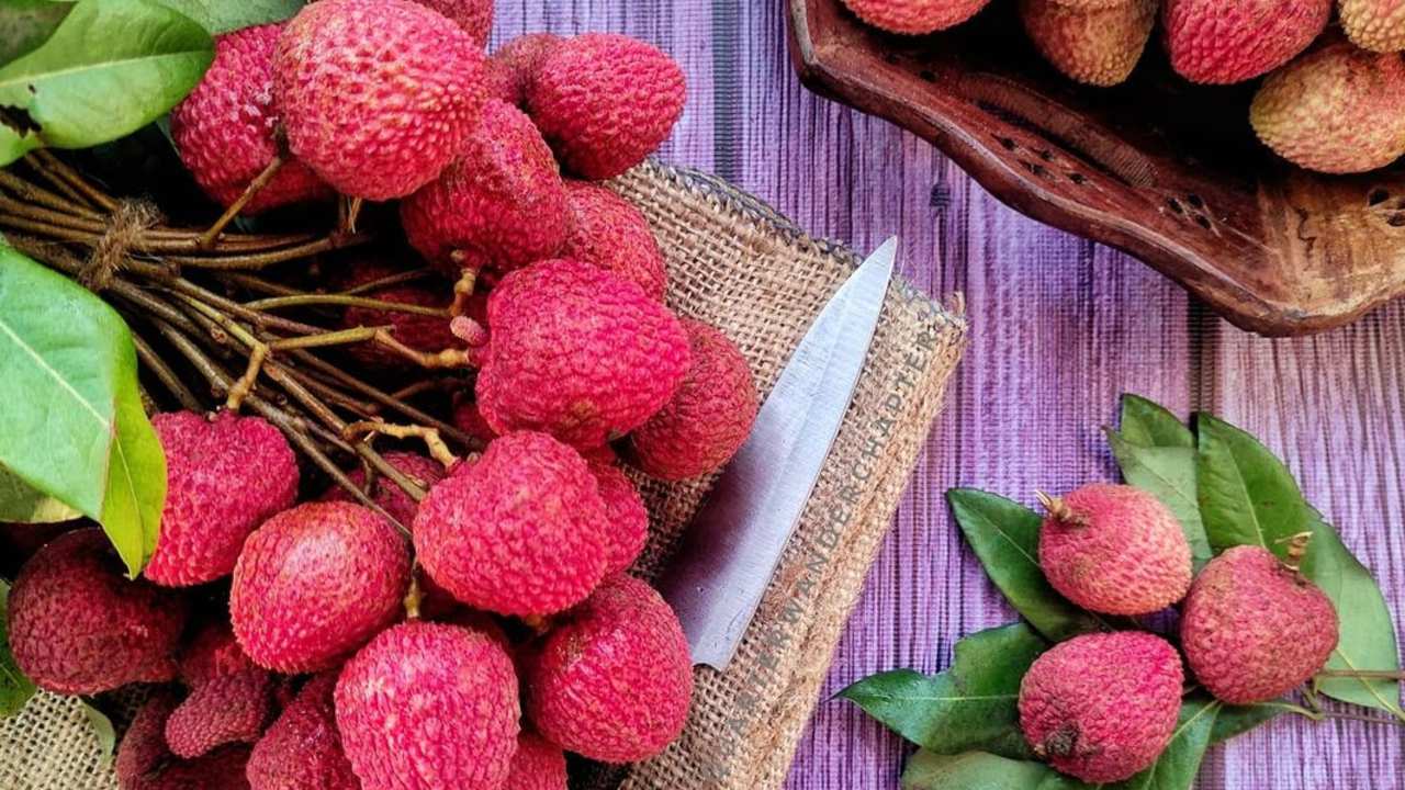 como cultivar lichi en maceta