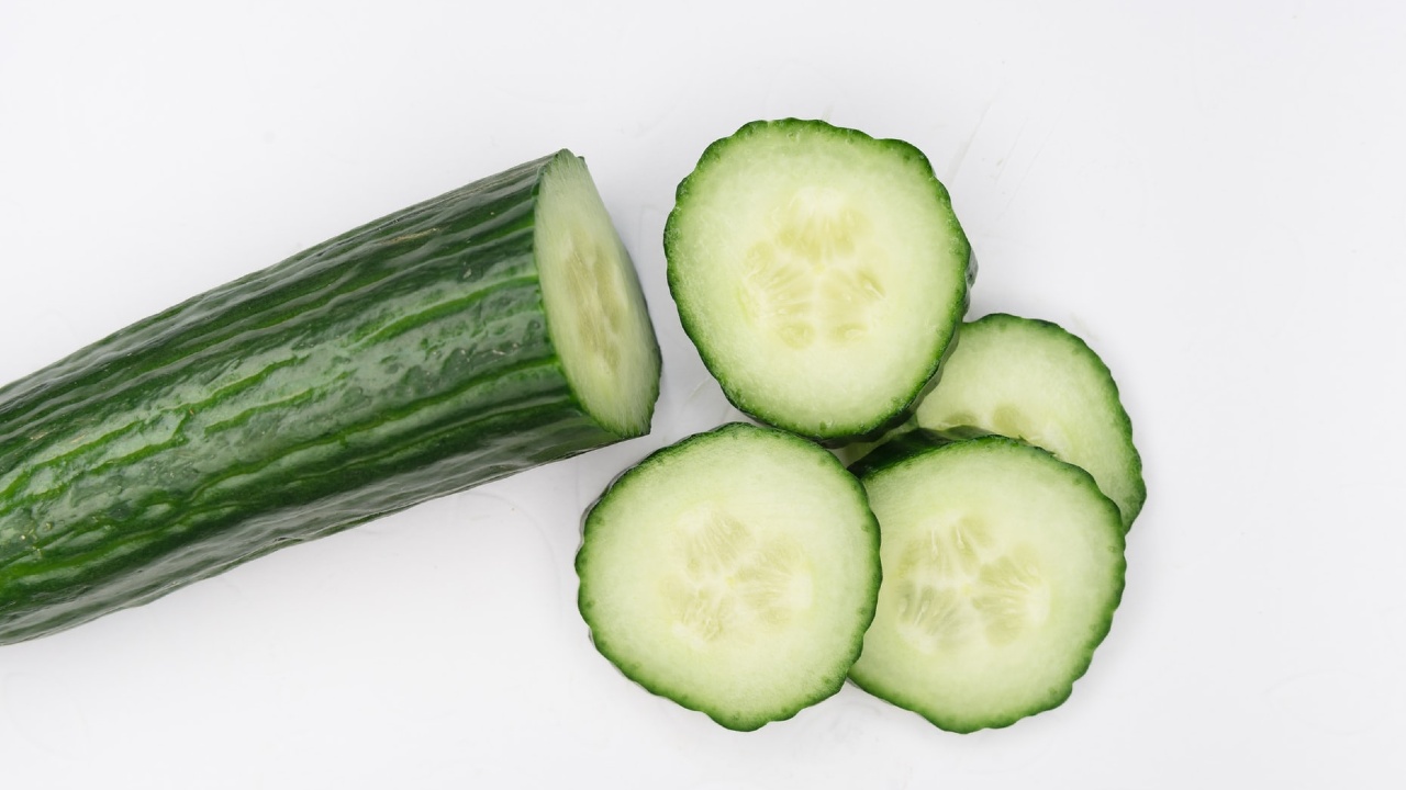 como cultivar pepino en maceta 