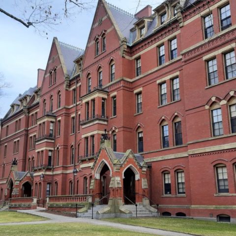 como estudiar en harvard gratis cursos en linea online