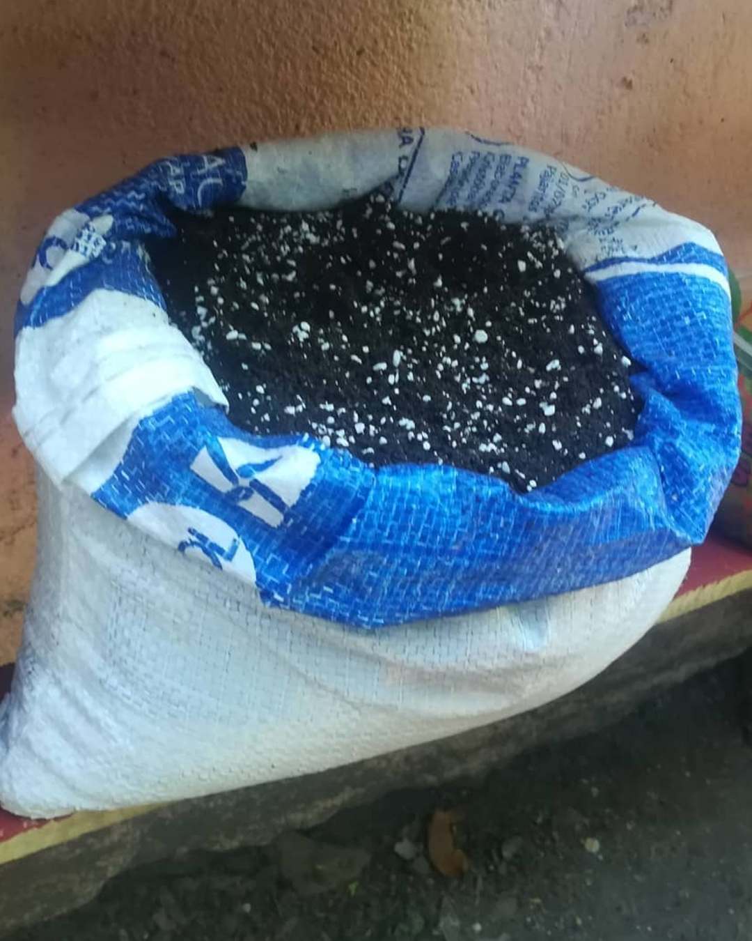 perlita para planta qué es como se usa