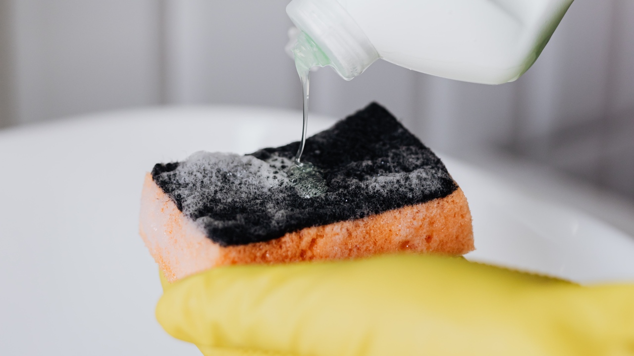 como eliminar bacterias de esponjas