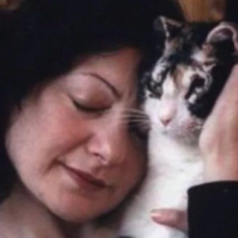 por que se llama karen en memes de gatos