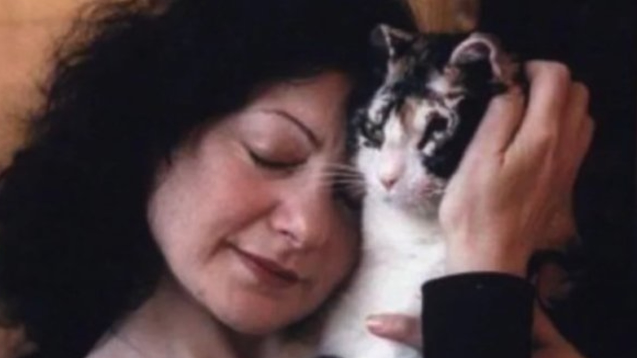 por que se llama karen en memes de gatos