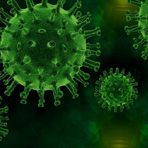 sars cov 2 virus covid 19 variantes nuevos nombres