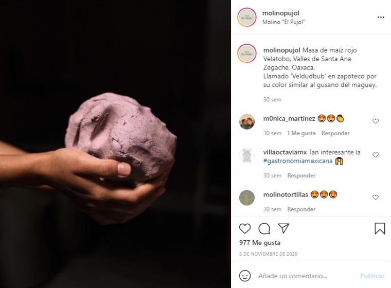 precio de tortillas pujol molino docena