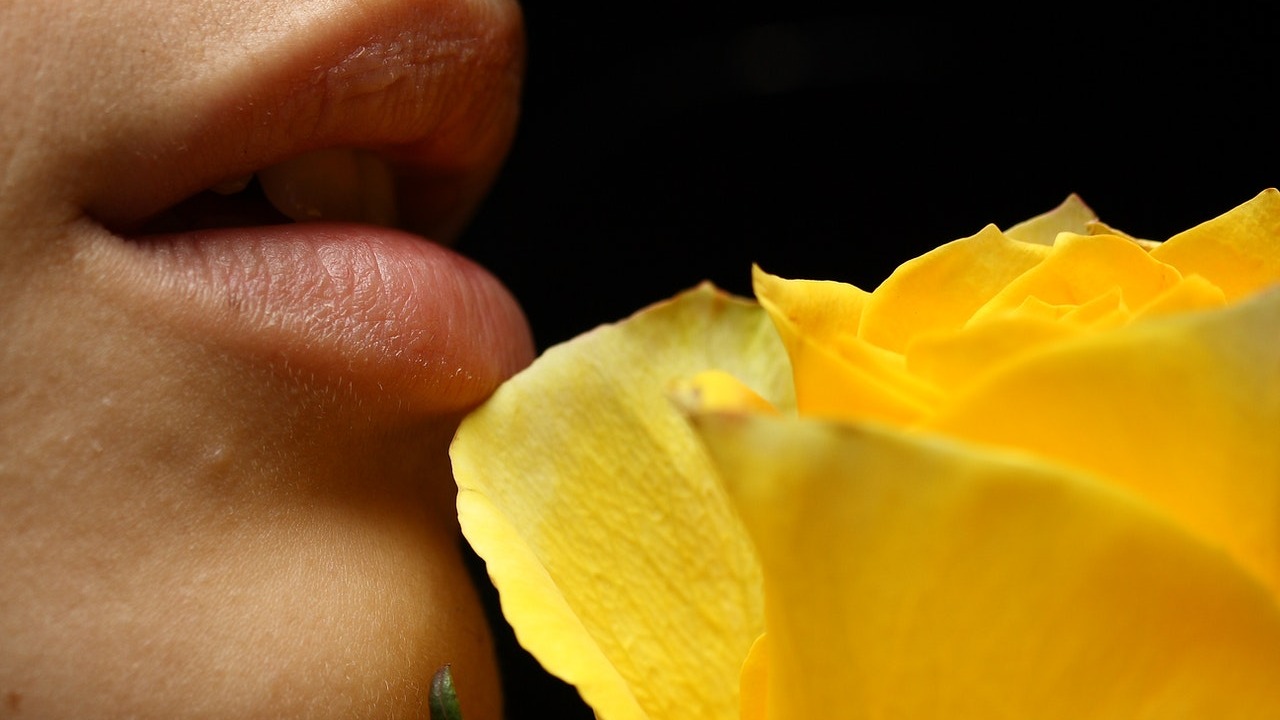 significado de regalar rosas amarillas