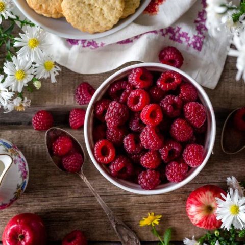 frambuesas ayudan contra el cancer antioxidantes