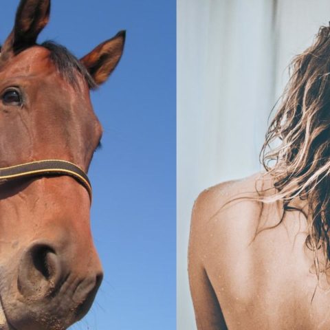 shampoo para caballo realmente funciona