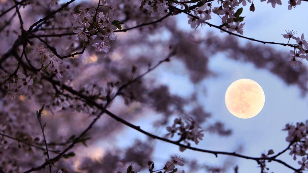 signo del zodiaco como afectara superluna de fresa 24 de junio