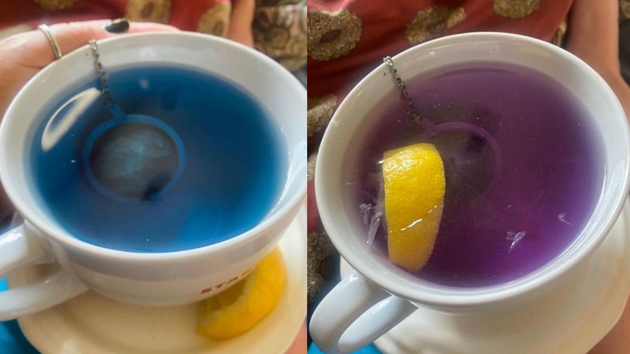 beneficios de tomar el té de mariposa todos los días