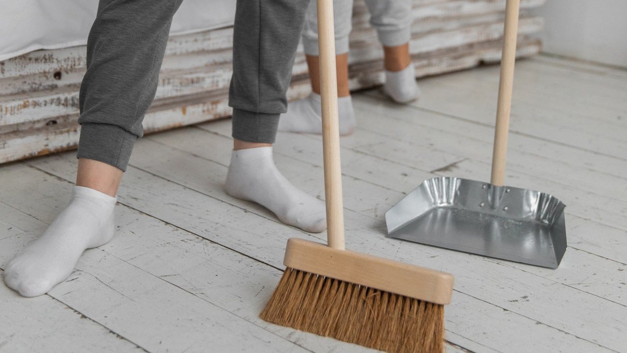 truco para atrapar todos los pelos de perro limpieza del hogar