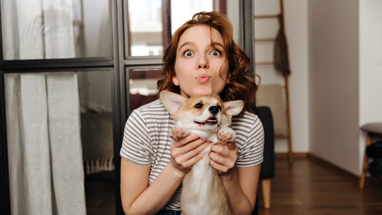 perros entienden cuando les hablas estudio