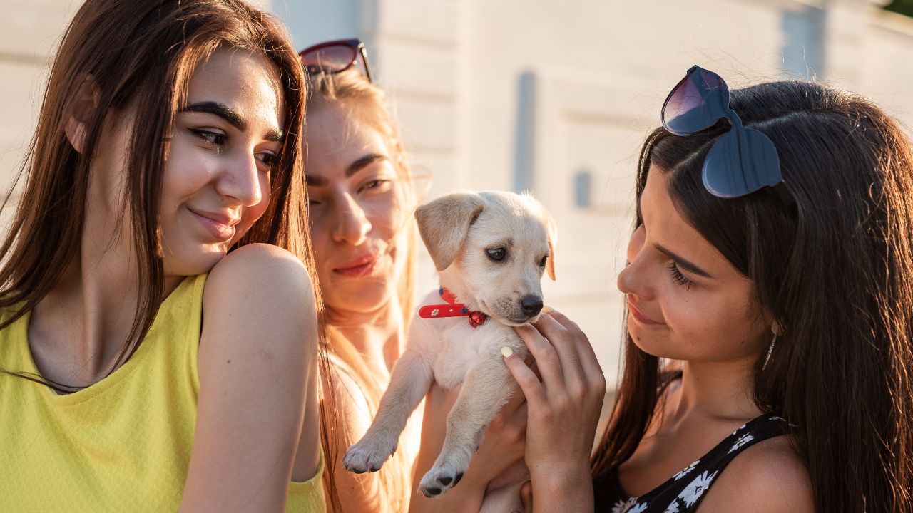 perros entienden cuando les hablas