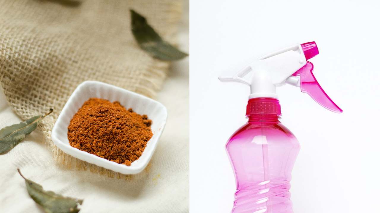 Haz tu propio aromatizante olor a canela