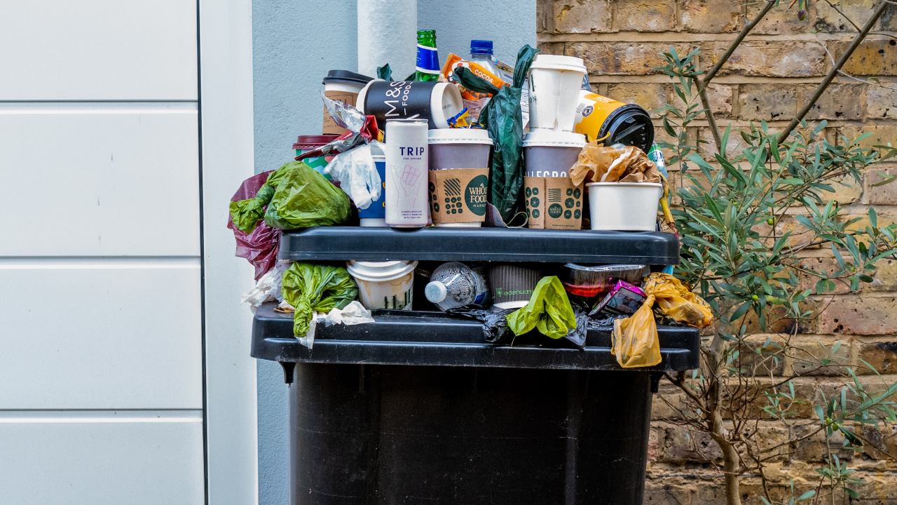 Ahuyenta alacranes de tu casa