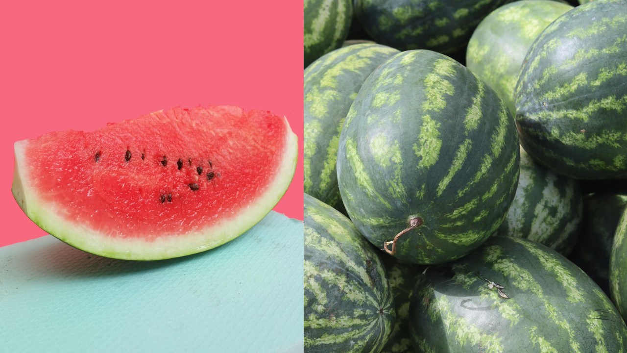 Aprende a elegir tu sandía