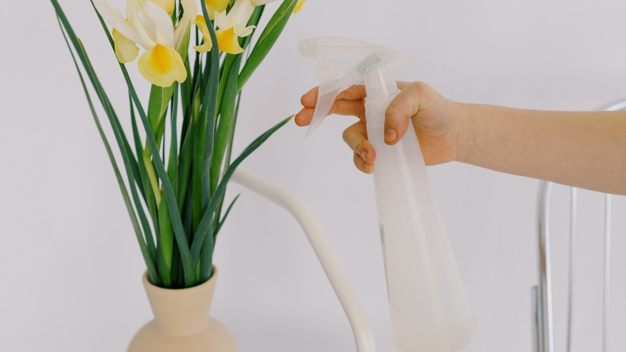 como hacer un insecticida natural con ajo para plantas barato