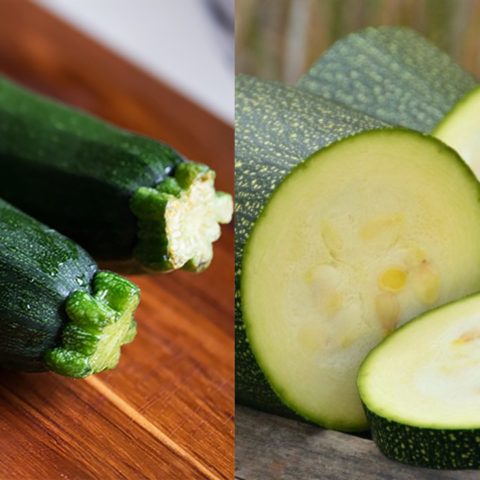 Conoce la diferencia entre calabazas