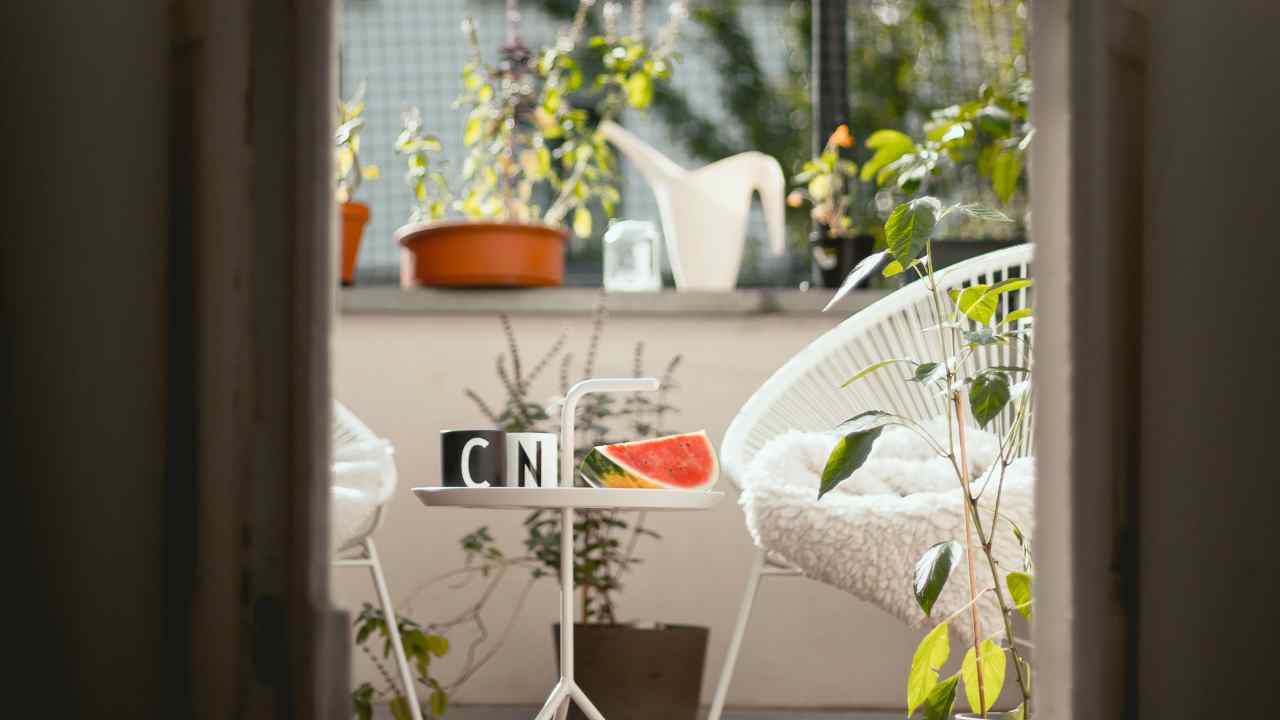 Cultiva hortalizas en tu balcón: Te decimos cómo empezar