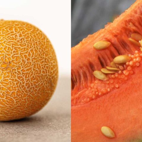 Cómo elegir los mejores melones para que te toquen los más frescos