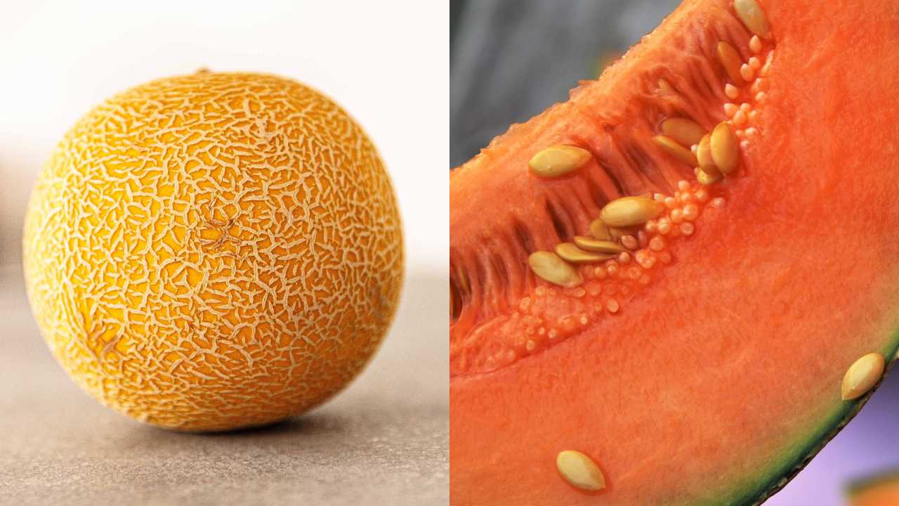 Cómo elegir los mejores melones para que te toquen los más frescos