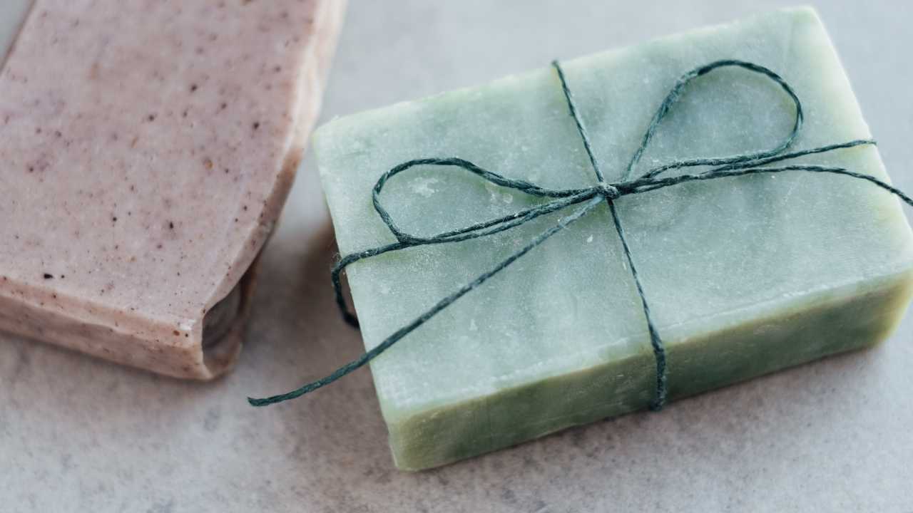 Cómo eliminar plagas de un árbol de limón remedios caseros