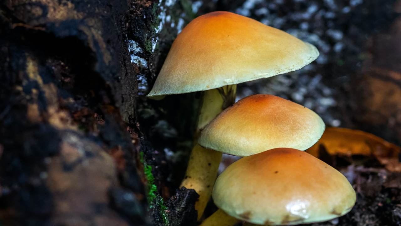 Cómo combatir la humedad en casa 