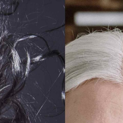 ¿Tienes canas? Indicador de salud