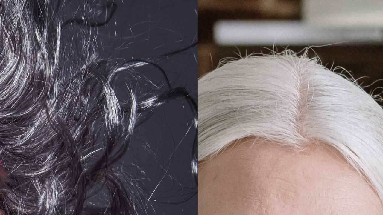 ¿Tienes canas? Indicador de salud