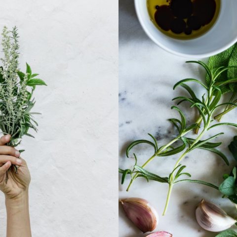 Cómo reproducir hierbas de olor caseras