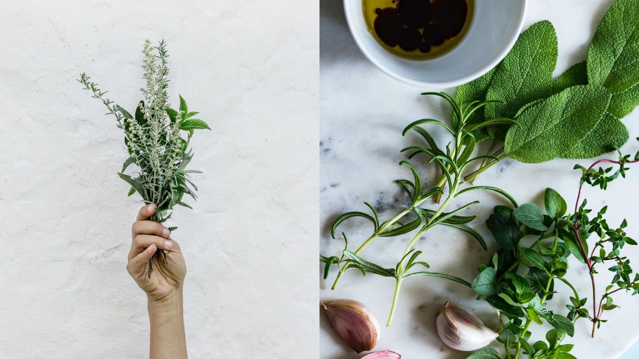 Cómo reproducir hierbas de olor caseras