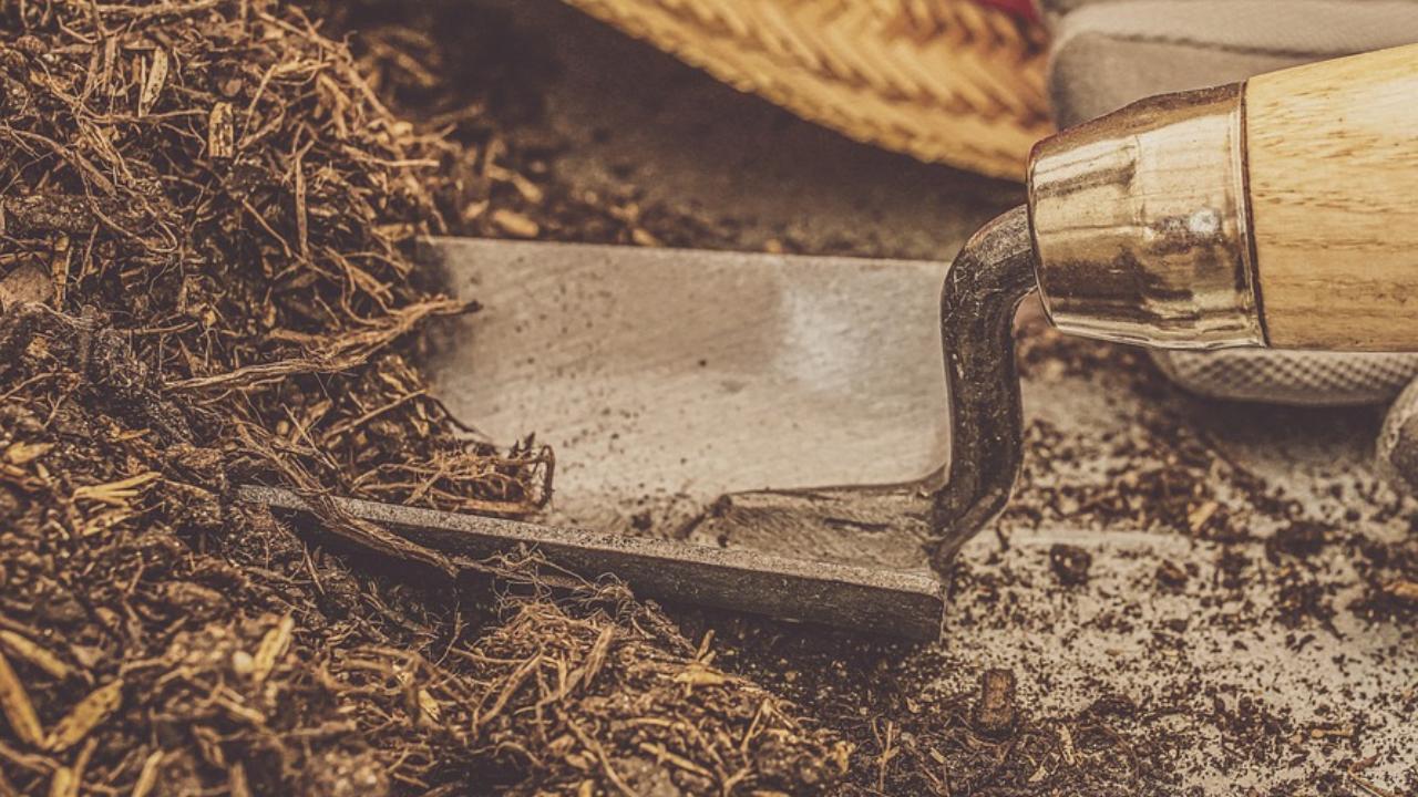 Reutiliza tierra para macetas y planta nuevas