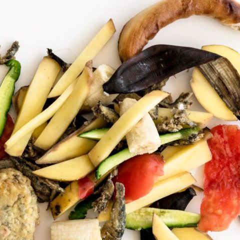 qué no debo agregar a la composta para plantas