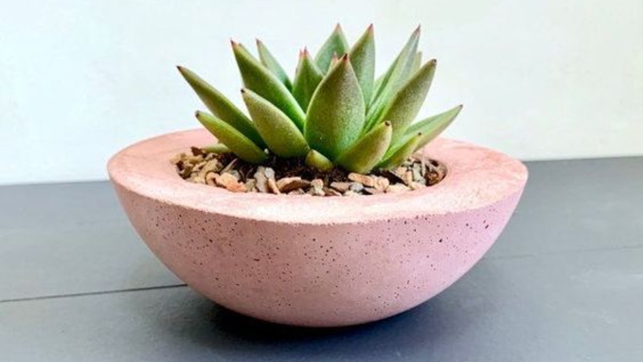 proyecto de jardineria diy