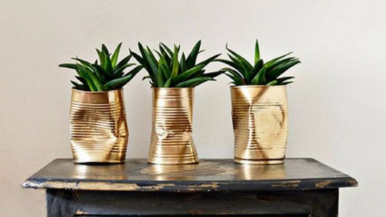 macetas para suculentas