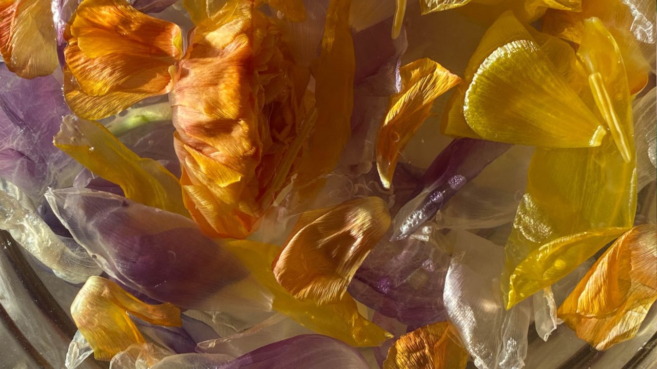 beneficios del agua florida en rituales