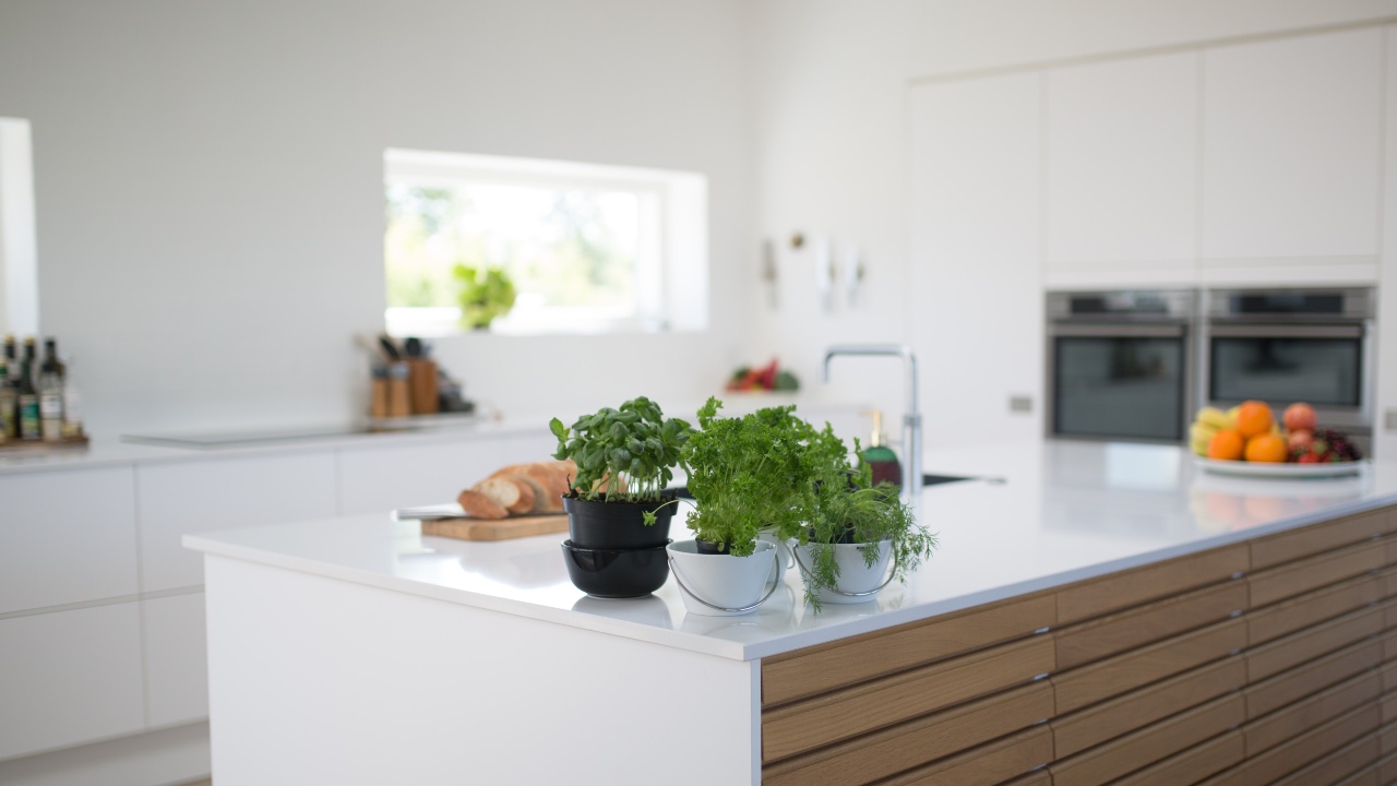 plantas en la cocina cuales debo tener