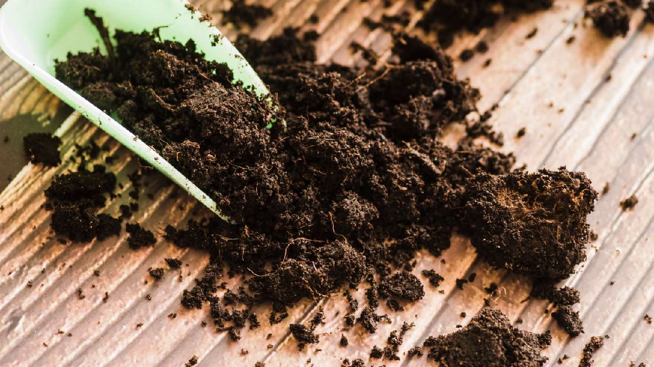 receta para fertilizante casero paso a paso