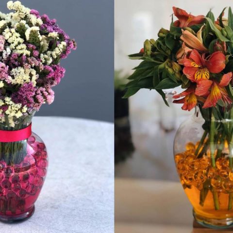 cómo hacer bolitas de gel en casa para plantas de interio