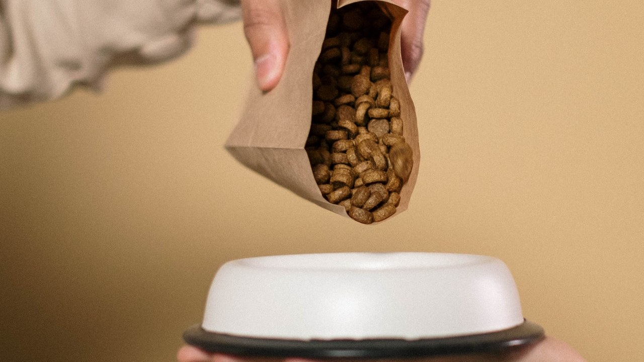 croquetas para perro mejor opción