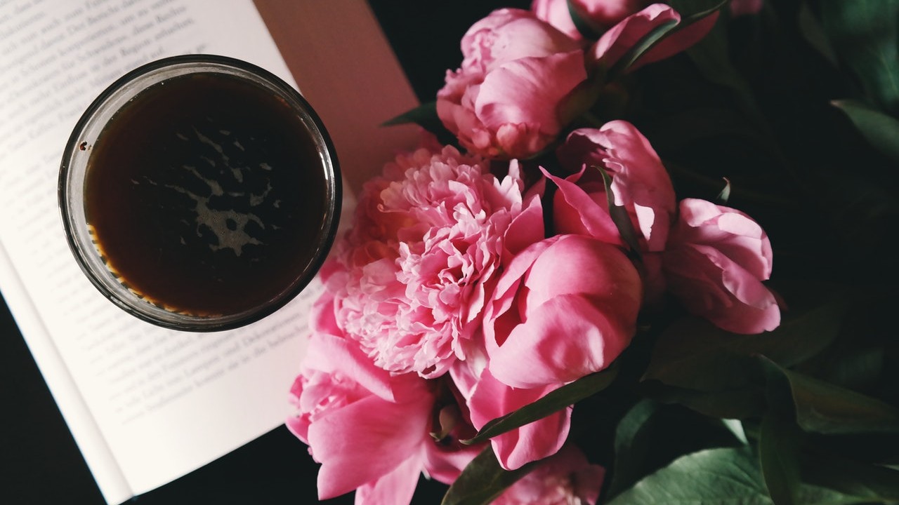 que plantas atraen amor segun el feng shui